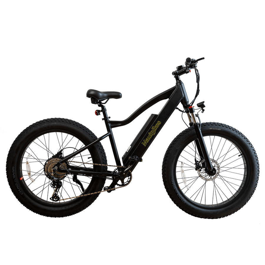 Electric fat bike