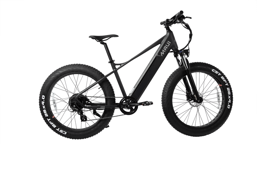 Ares Electric Fat Bikes